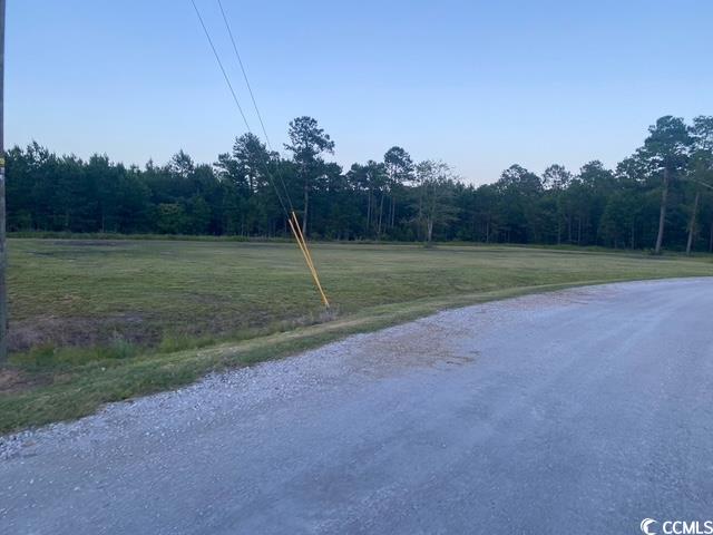 114 Belland Court Loris, SC 29569 - Photo 4 of 8