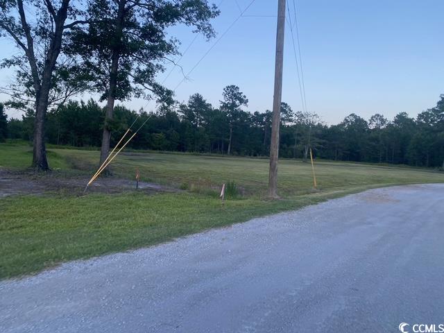 114 Belland Court Loris, SC 29569 - Photo 5 of 8