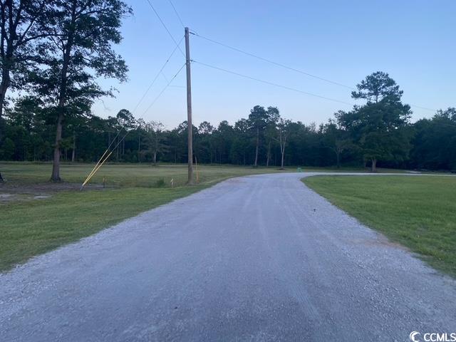 114 Belland Court Loris, SC 29569 - Photo 6 of 8