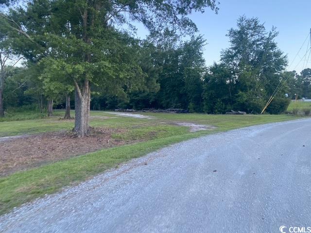 114 Belland Court Loris, SC 29569 - Photo 8 of 8