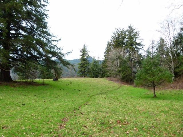 Tl#1009 Bel Air Road Cloverdale, OR 97112 - Photo 17 of 20 P1080403
