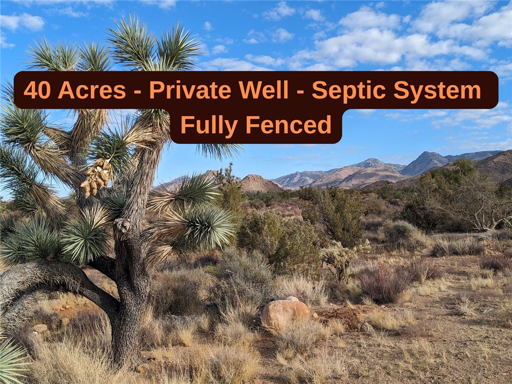 2624 South Gold Mine Road Yucca, AZ 86438 - Photo 1 of 15