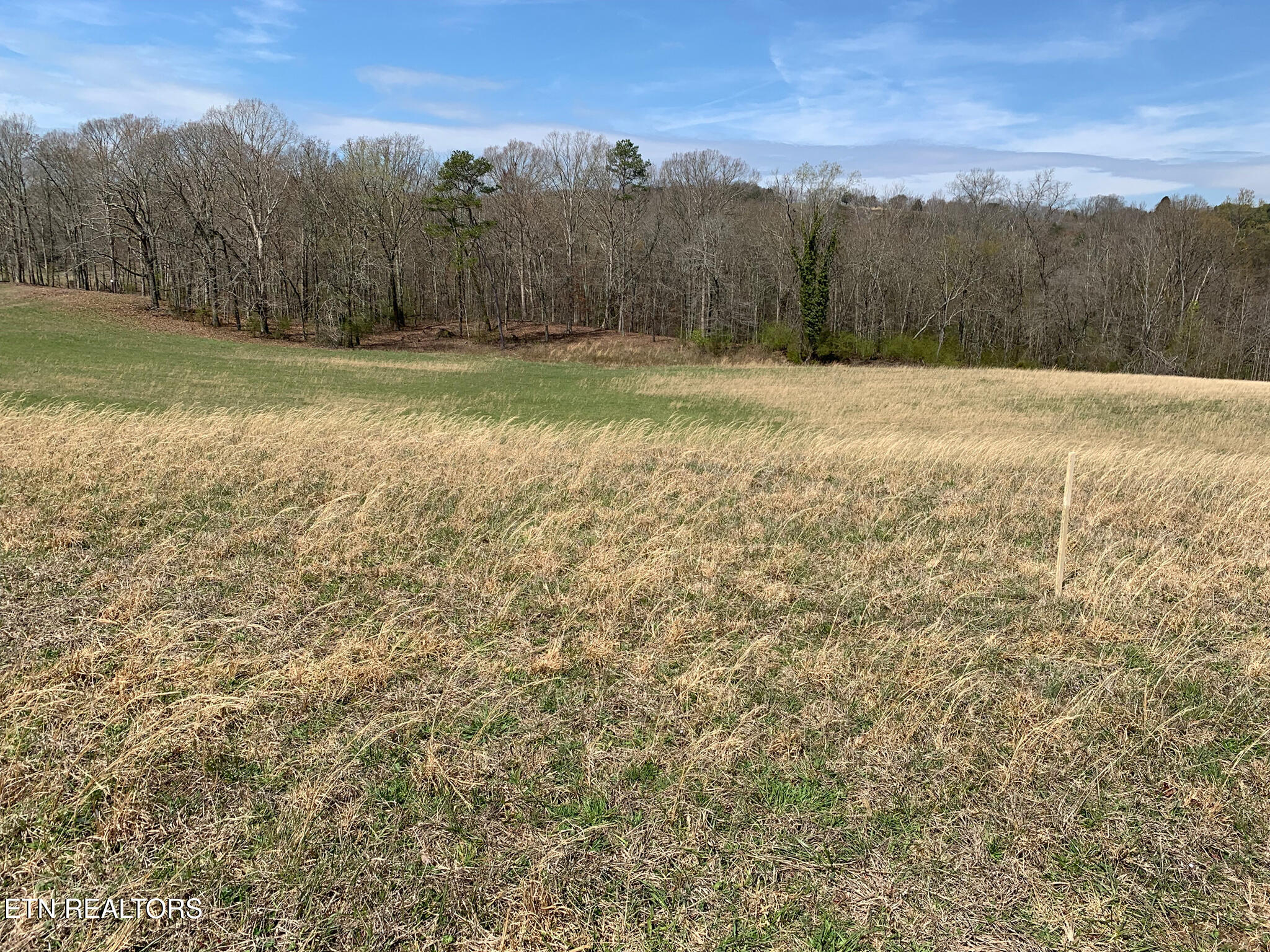 240 Sable Estates Ln Spring Spring City, TN 37381 - Photo 12 of 22 12) 74637-6a7e633d8981d