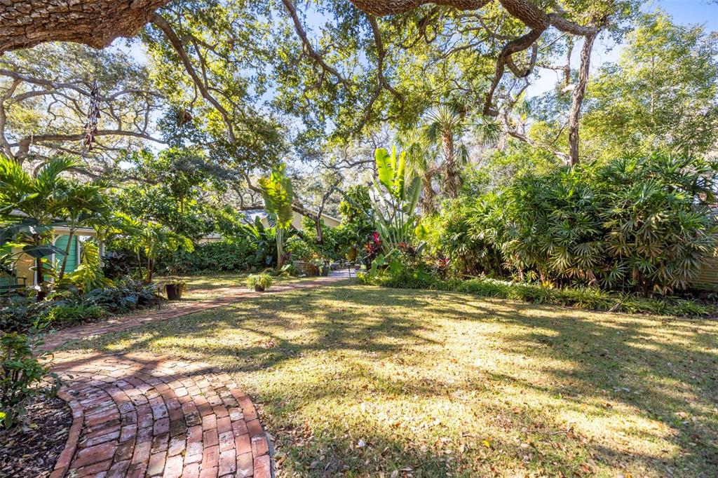 400 Broadway Dunedin, FL 34698 - Photo 62 of 84 a view of a yard with a trees