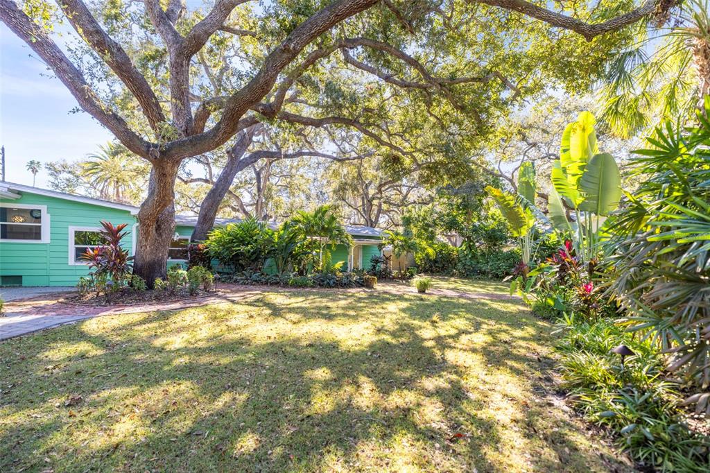 400 Broadway Dunedin, FL 34698 - Photo 67 of 84 a view of a yard with plants and large trees