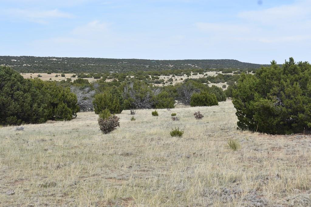 87-119 Twin Lakes Road Walsenburg, CO 81089 - Photo 5 of 21