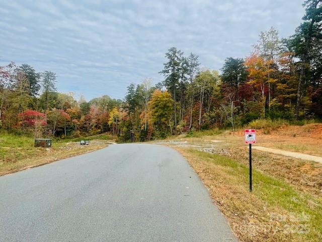 0 Enchanted Way, Unit 4 Denver, NC 28037 - Photo 3 of 9
