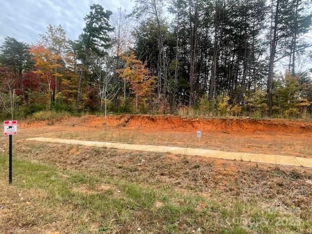 0 Enchanted Way, Unit 4 Denver, NC 28037 - Photo 4 of 9