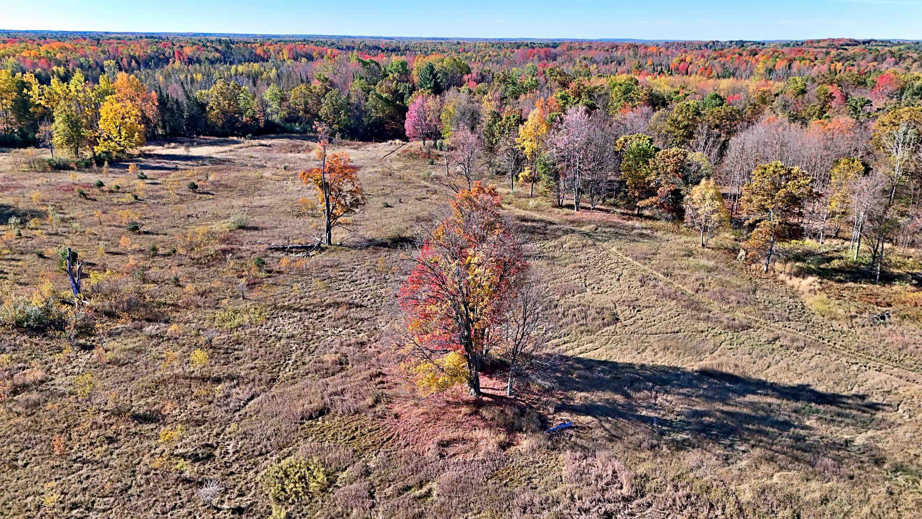 0 Twin Lake Road Marion, MI 49665 - Photo 31 of 33
