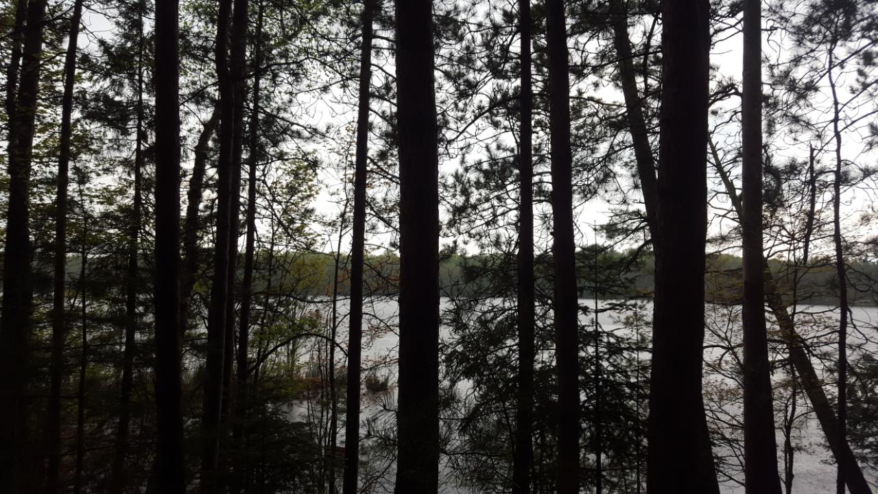 Three Whitefish Lake Road, Unit LOT 3 Three Lakes, WI 54562 - Photo 9 of 13 Gallery Image 9