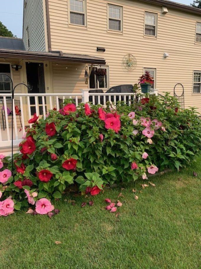 39 Dearborn Avenue Hampton, NH 03842 - Photo 41 of 48