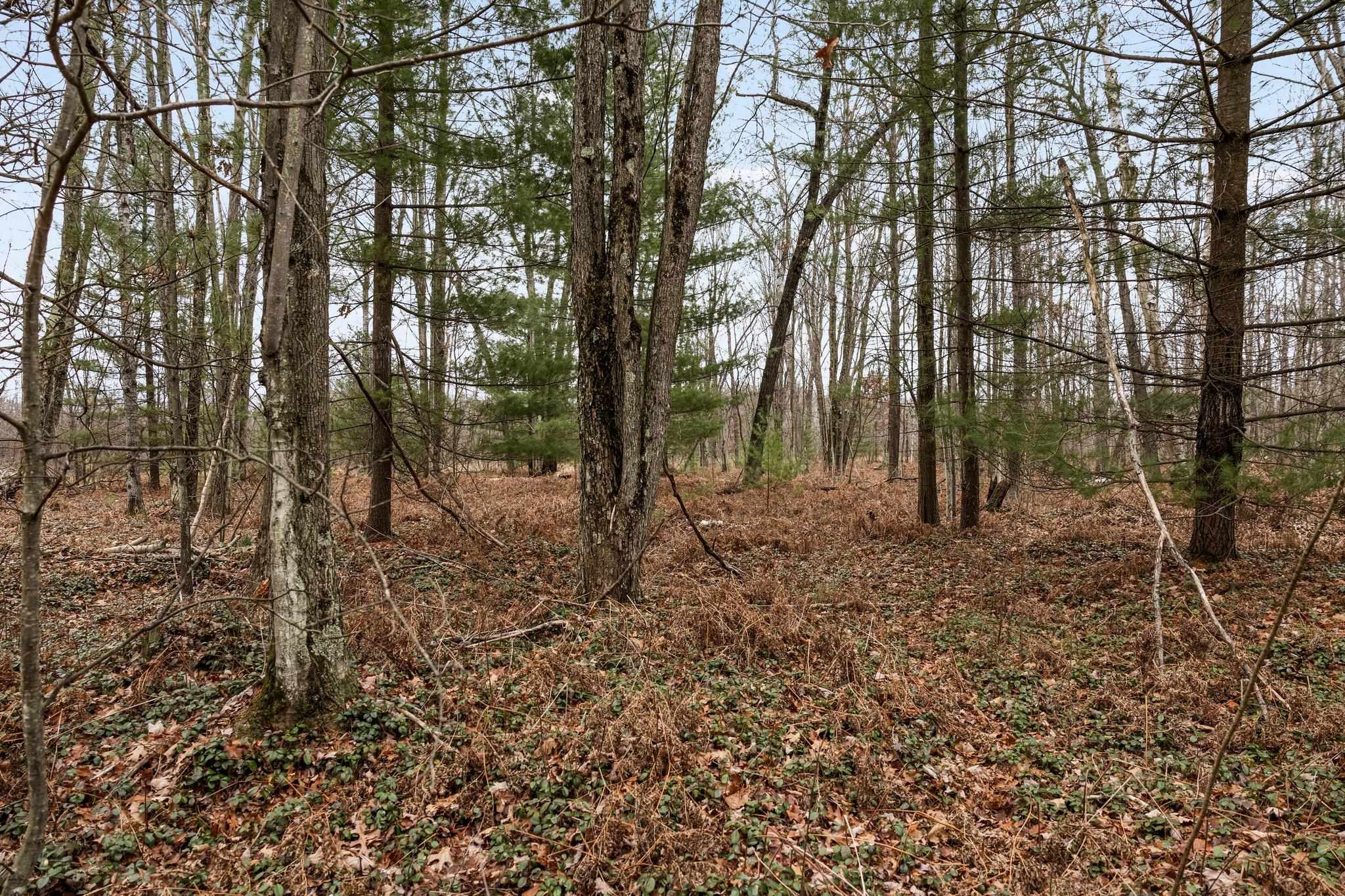 4615 East Sugar River Road Alger, MI 48610 - Photo 29 of 69