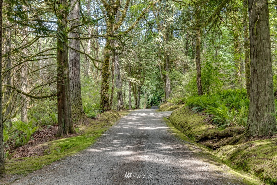 -lot B Springridge Road Northeast Bainbridge Island, WA 98110 - Photo 2 of 11 Gallery Image 2