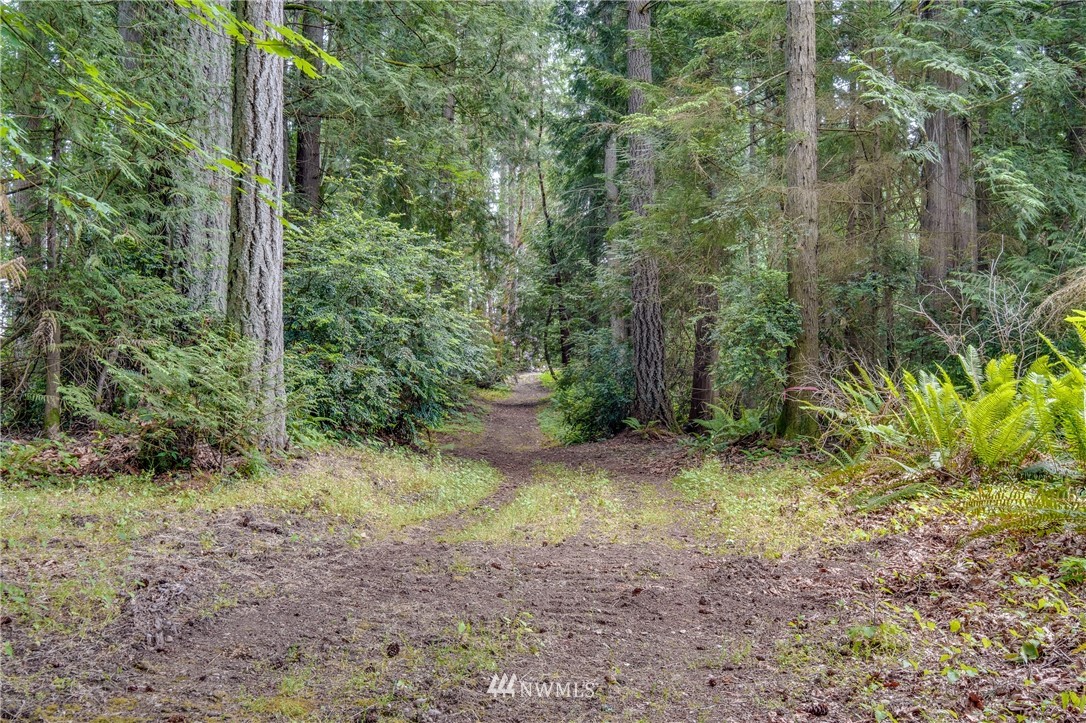 -lot B Springridge Road Northeast Bainbridge Island, WA 98110 - Photo 8 of 11 Gallery Image 8