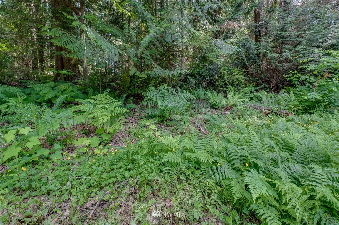 -lot B Springridge Road Northeast Bainbridge Island, WA 98110 - Photo 9 of 11 Gallery Image 9