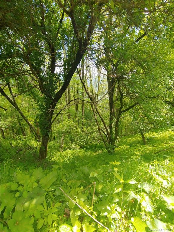 Lot 29 Ridge Top Circle Road, Unit LOT 29 Clyde, NC 28721 - Photo 12 of 22 a backyard of a house with lots of plants and tree