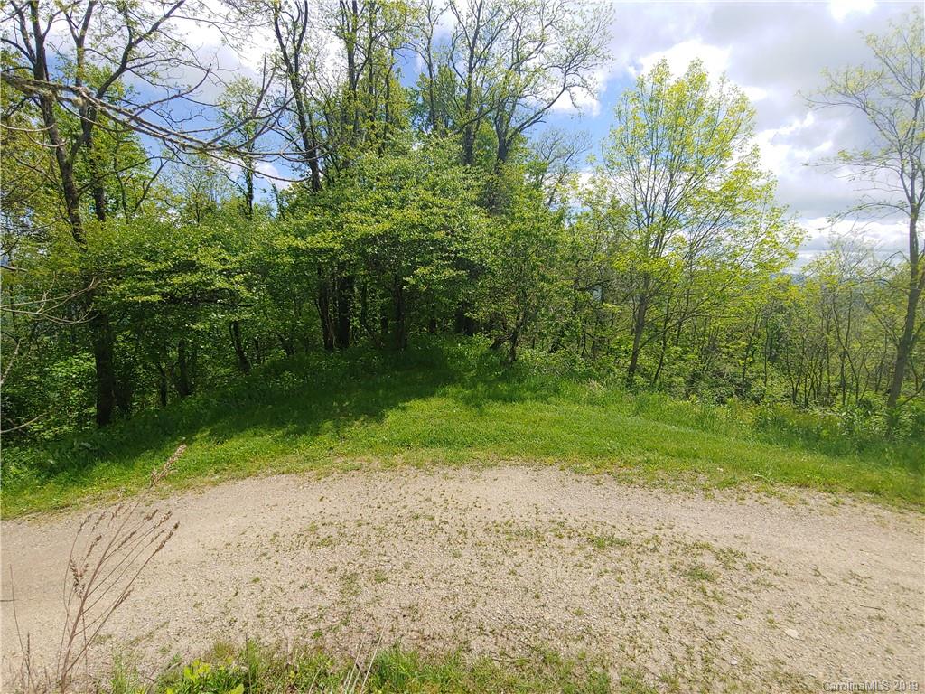 Lot 29 Ridge Top Circle Road, Unit LOT 29 Clyde, NC 28721 - Photo 15 of 22 a view of backyard with green space