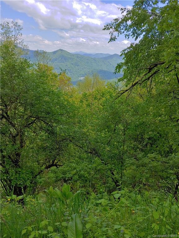 Lot 29 Ridge Top Circle Road, Unit LOT 29 Clyde, NC 28721 - Photo 17 of 22 a view of a city