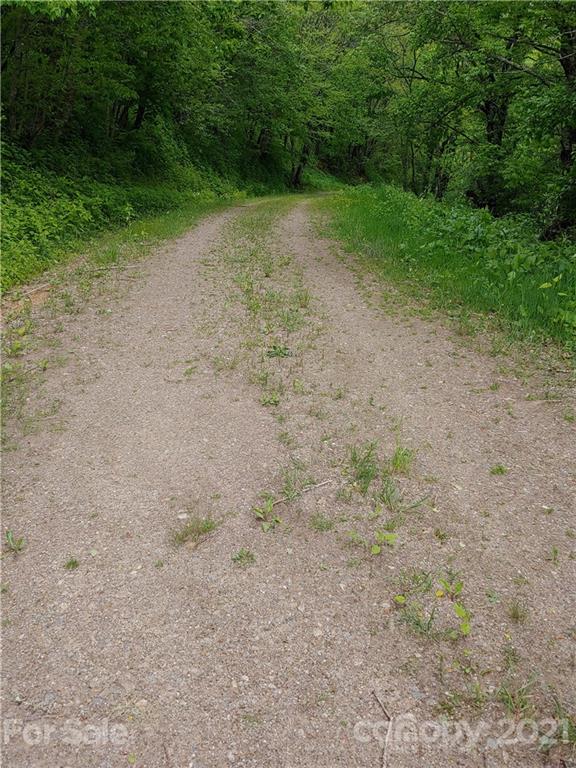 Lot 29 Ridge Top Circle Road, Unit LOT 29 Clyde, NC 28721 - Photo 22 of 22 a view of a dry yard with a wooden fence