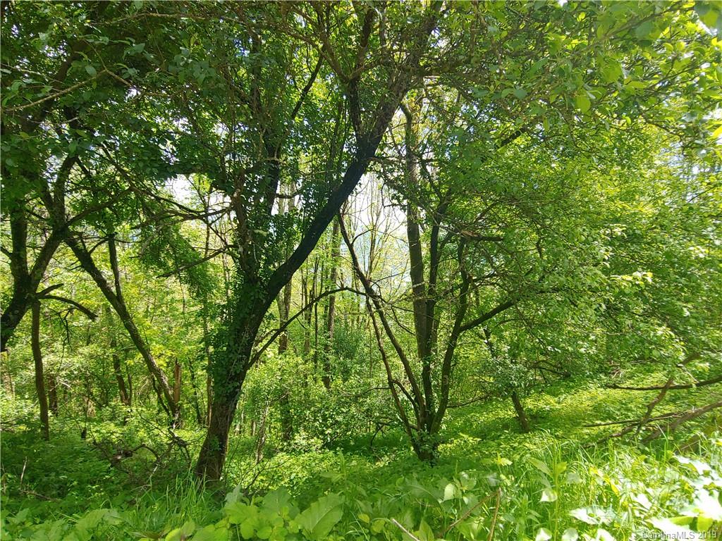 Lot 29 Ridge Top Circle Road, Unit LOT 29 Clyde, NC 28721 - Photo 4 of 22 a backyard of a house with lots of trees