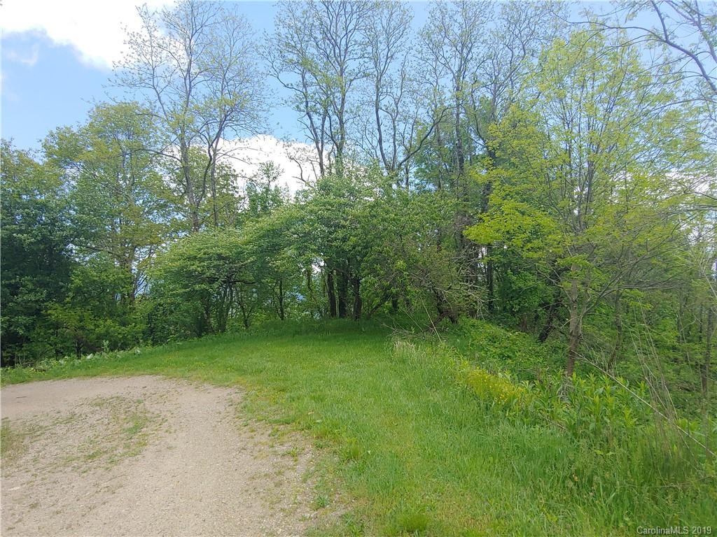 Lot 29 Ridge Top Circle Road, Unit LOT 29 Clyde, NC 28721 - Photo 5 of 22 a view of a lush green forest
