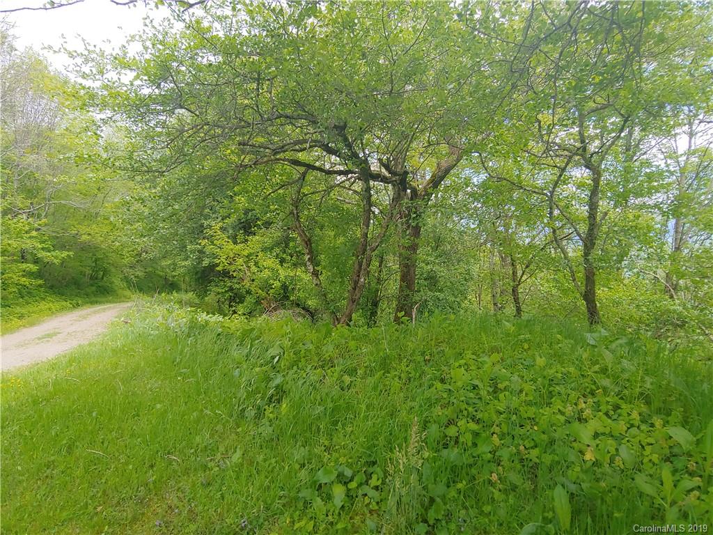 Lot 29 Ridge Top Circle Road, Unit LOT 29 Clyde, NC 28721 - Photo 6 of 22 a view of a lush green space