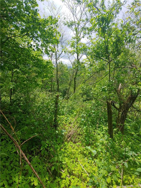 Lot 29 Ridge Top Circle Road, Unit LOT 29 Clyde, NC 28721 - Photo 9 of 22 a view of a lush green forest
