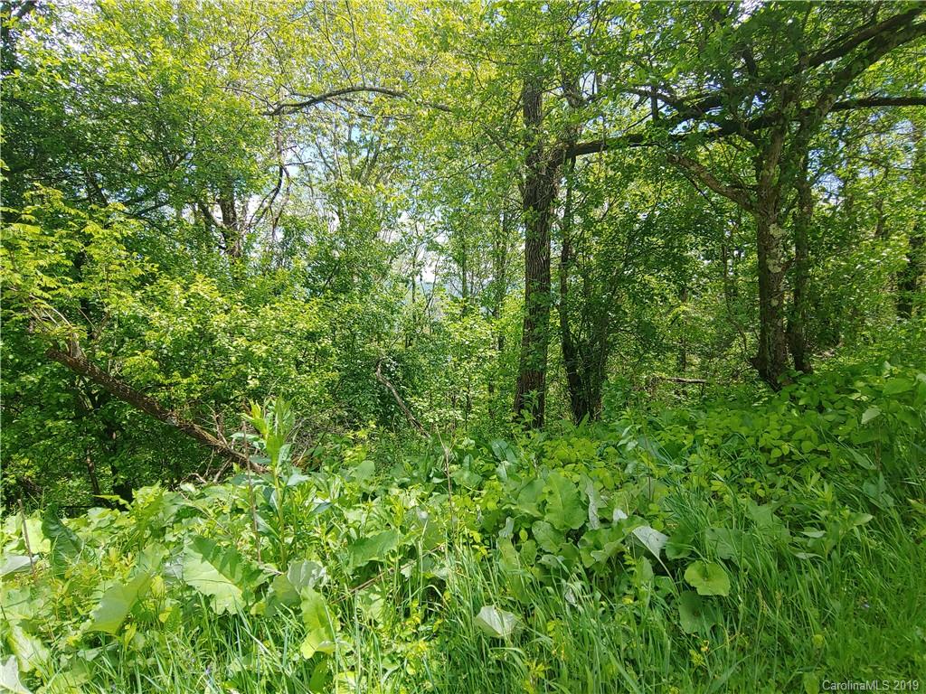 Lot 29 Ridge Top Circle Road, Unit LOT 29 Clyde, NC 28721 - Photo 10 of 22 a view of a lush green forest