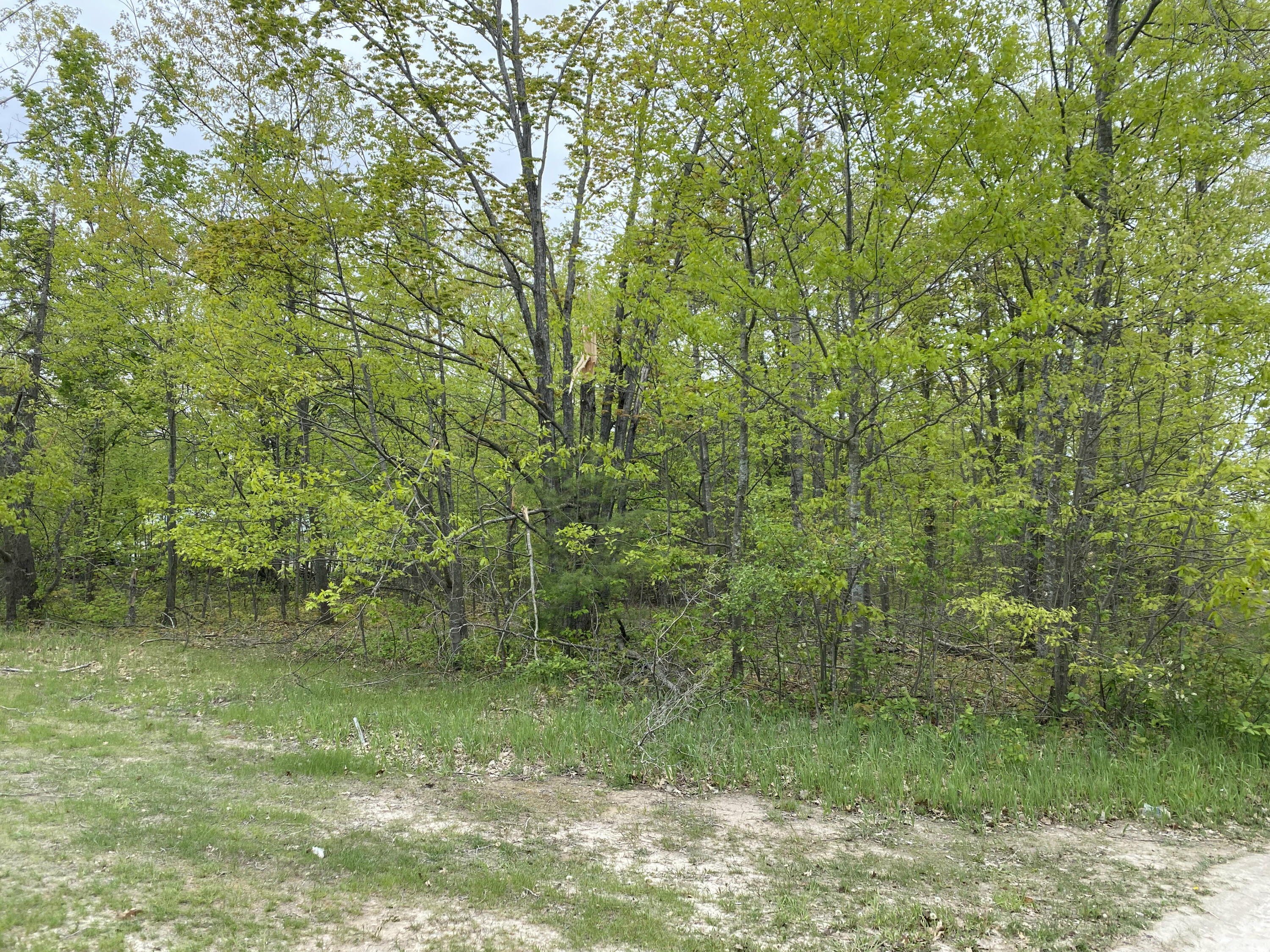 4231 Long Lake Road Cheboygan, MI 49721 - Photo 4 of 24 Gallery Image 4