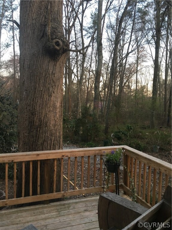 Side deck looking into woods