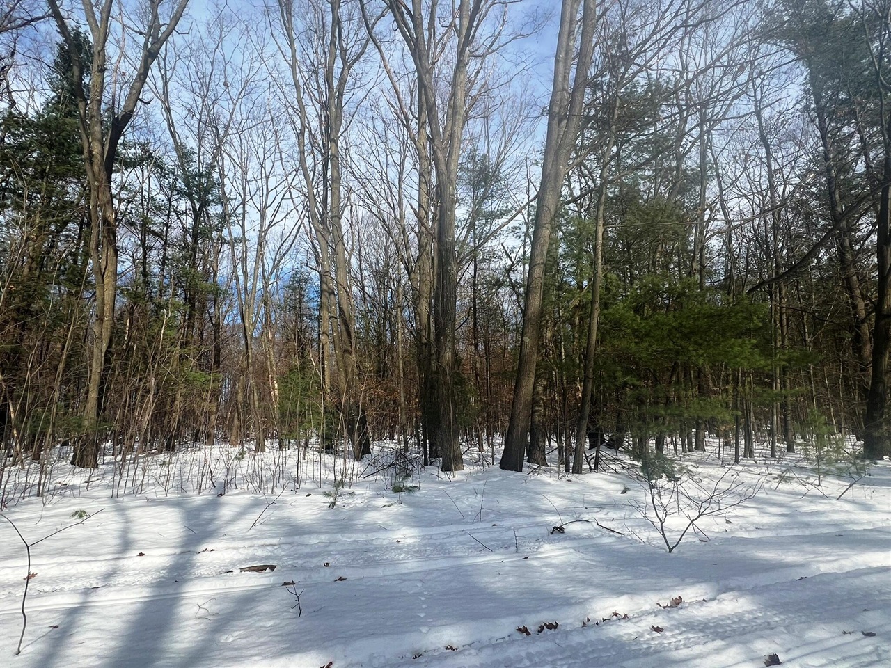 0 West Adams Road Hesperia, MI 49421 - Photo 64 of 74