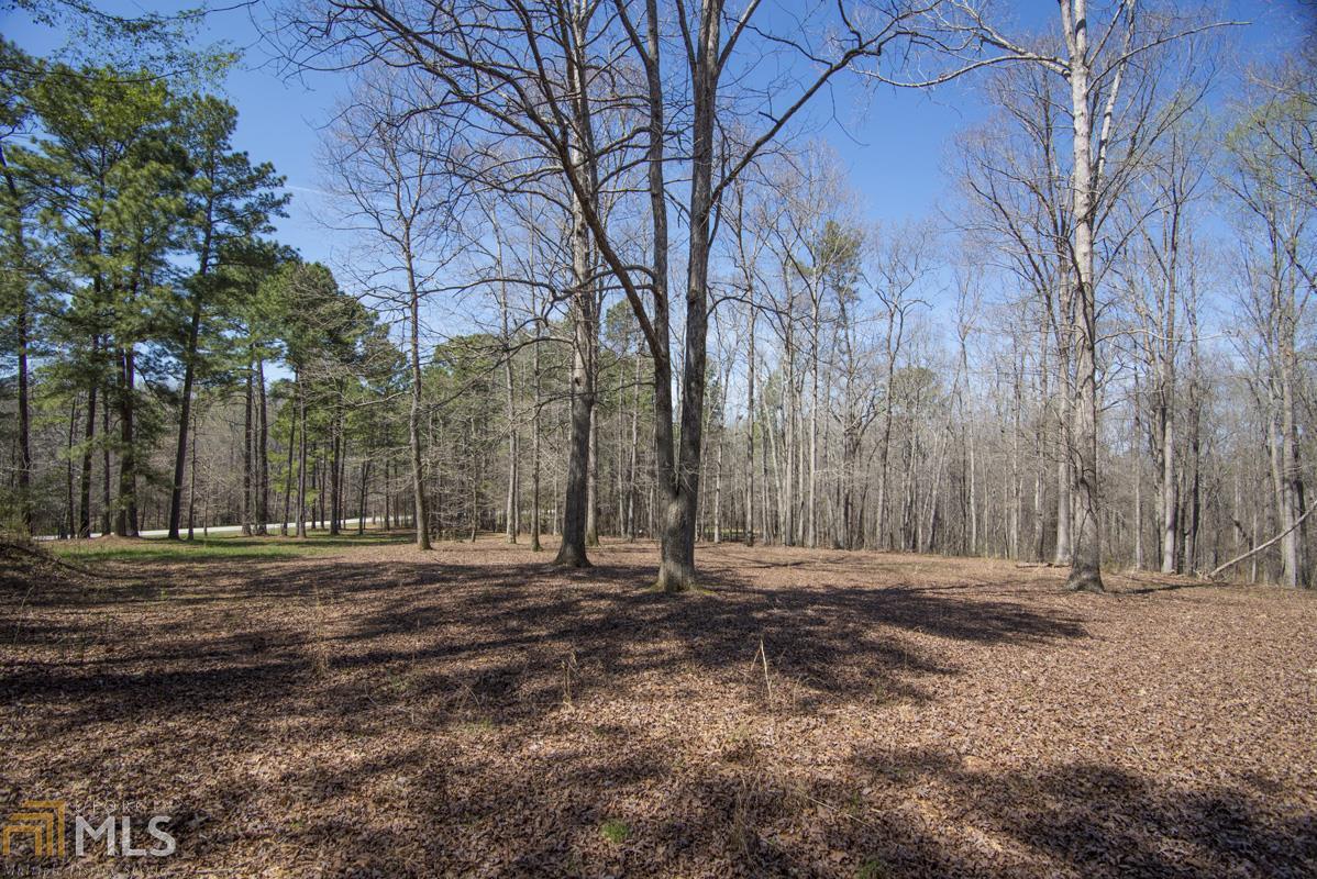 0 South Trace, Unit LOT 17 Rutledge, GA 30663 - Photo 1 of 1