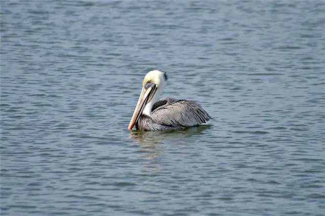 a room with a wooden floor