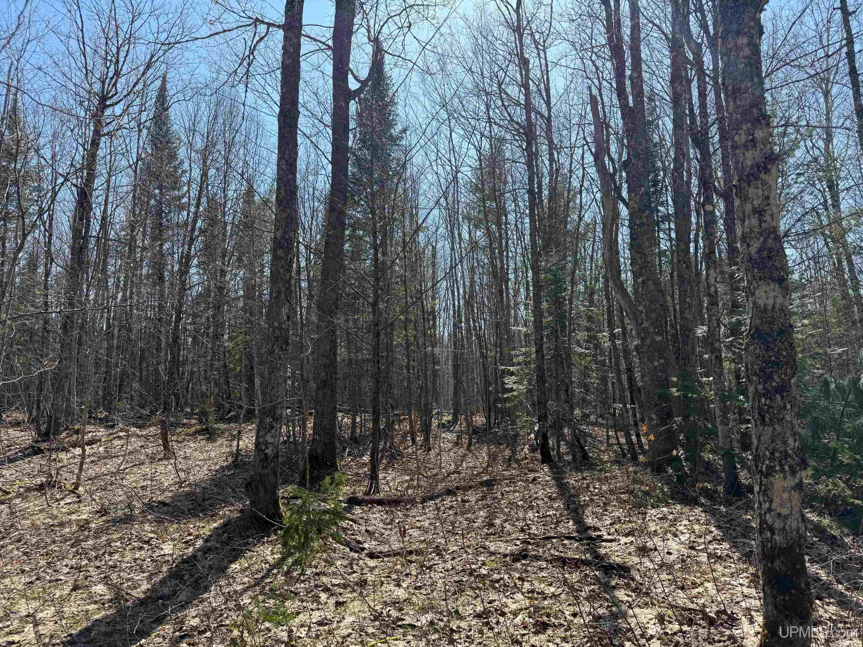 Tbdi Winona Road Toivola, MI 49965 - Photo 12 of 18