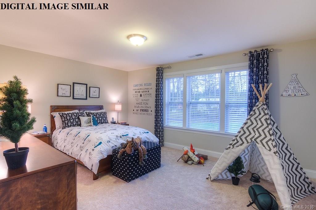 1506 Hedge Apple Road, Unit 170 Lake Wylie, SC 29710 - Photo 13 of 24 Gallery Image 13