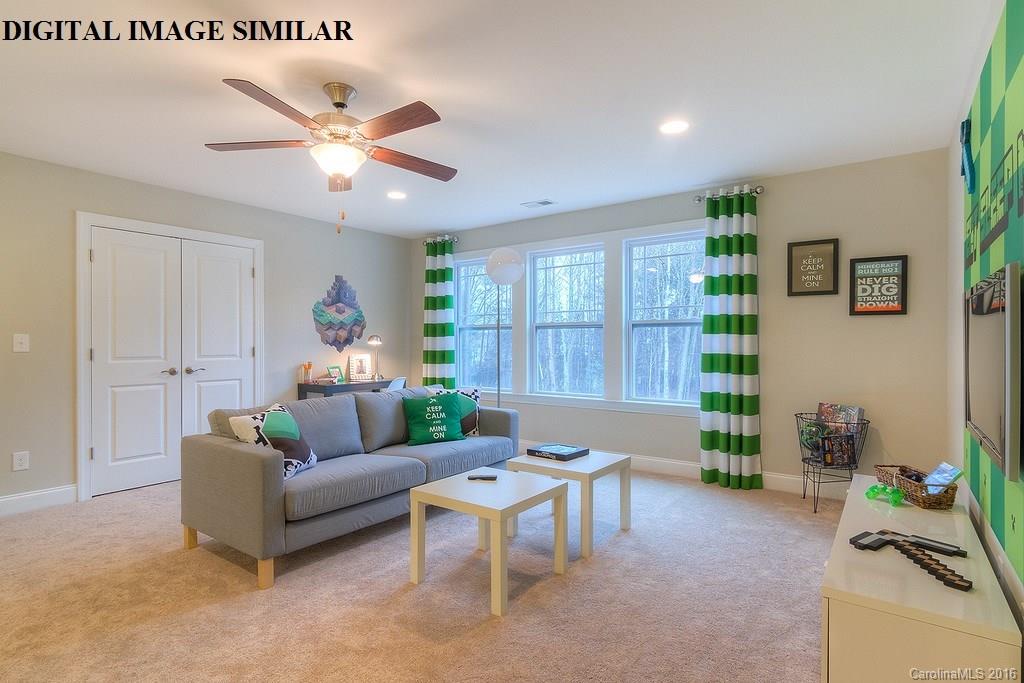 1506 Hedge Apple Road, Unit 170 Lake Wylie, SC 29710 - Photo 22 of 24 Gallery Image 22