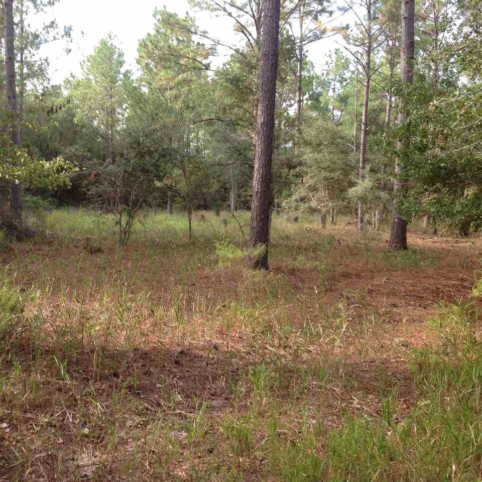 12689 Beach Road Perry, FL 32348 - Photo 13 of 33 Gallery Image 13