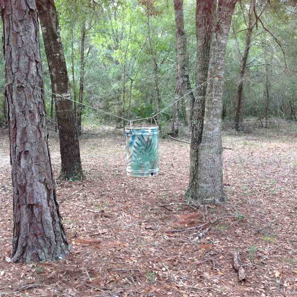12689 Beach Road Perry, FL 32348 - Photo 16 of 33 Gallery Image 16