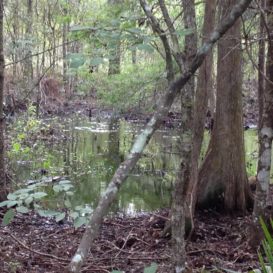 12689 Beach Road Perry, FL 32348 - Photo 18 of 33 Gallery Image 18