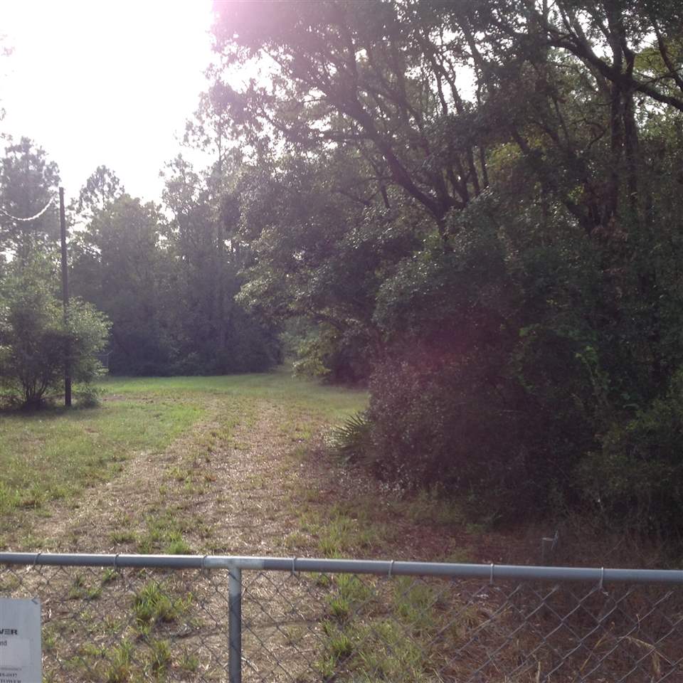 12689 Beach Road Perry, FL 32348 - Photo 19 of 33 Gallery Image 19