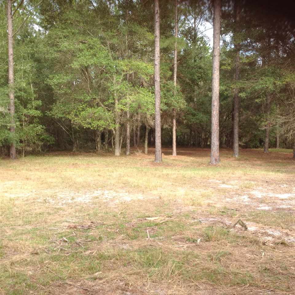 12689 Beach Road Perry, FL 32348 - Photo 21 of 33 Gallery Image 21
