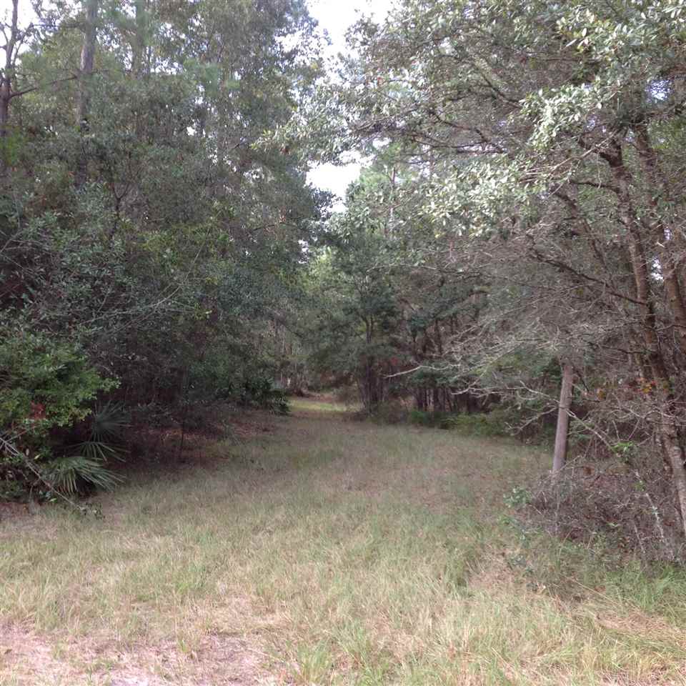 12689 Beach Road Perry, FL 32348 - Photo 24 of 33 Gallery Image 24