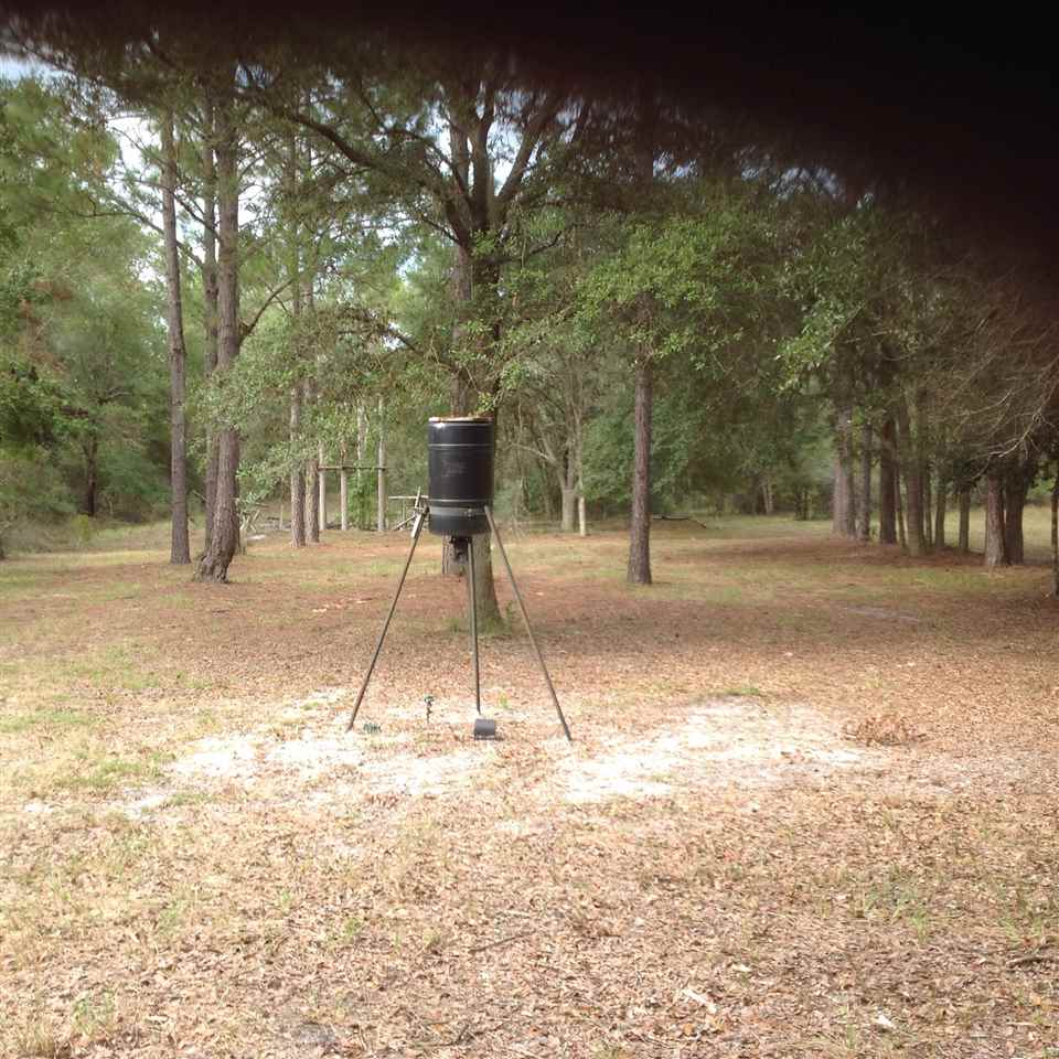 12689 Beach Road Perry, FL 32348 - Photo 25 of 33 Gallery Image 25