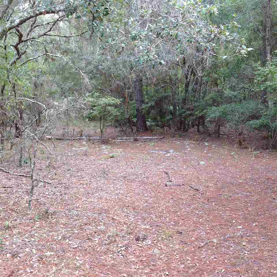 12689 Beach Road Perry, FL 32348 - Photo 27 of 33 Gallery Image 27