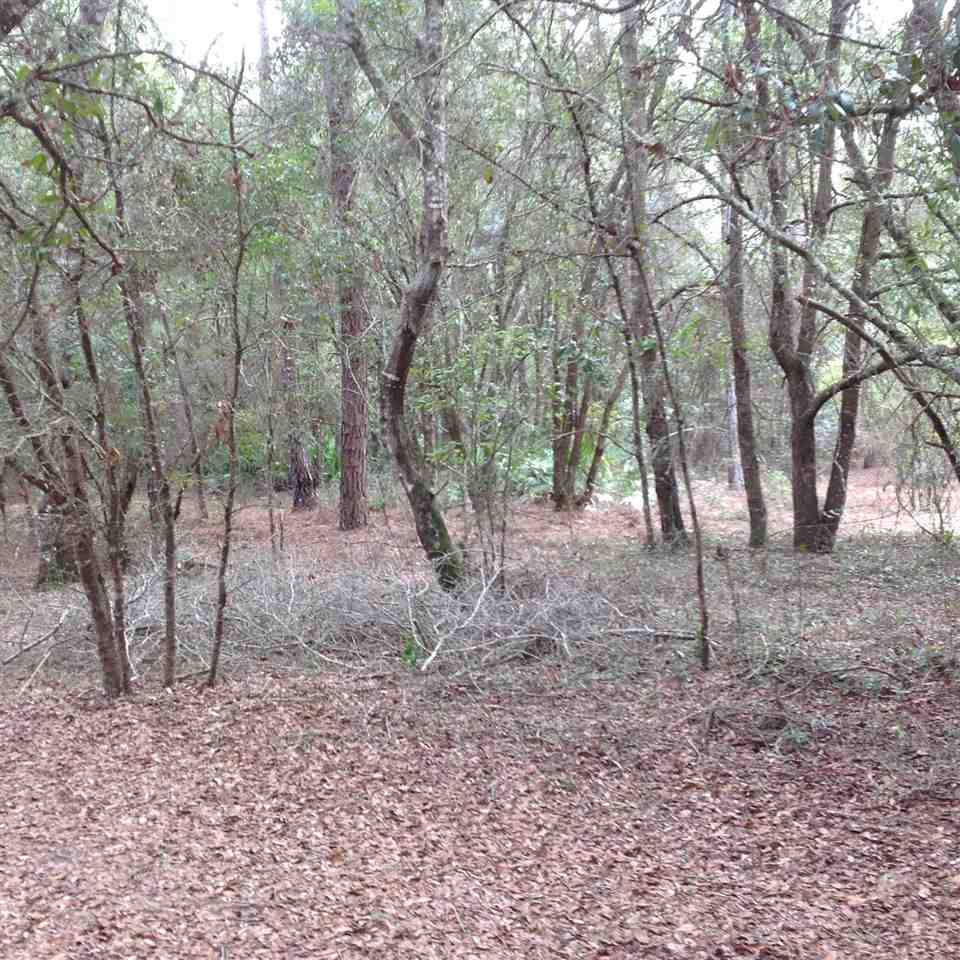 12689 Beach Road Perry, FL 32348 - Photo 30 of 33 Gallery Image 30