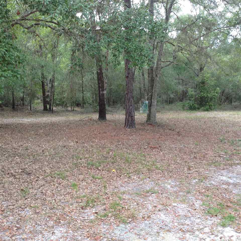 12689 Beach Road Perry, FL 32348 - Photo 33 of 33 Gallery Image 33