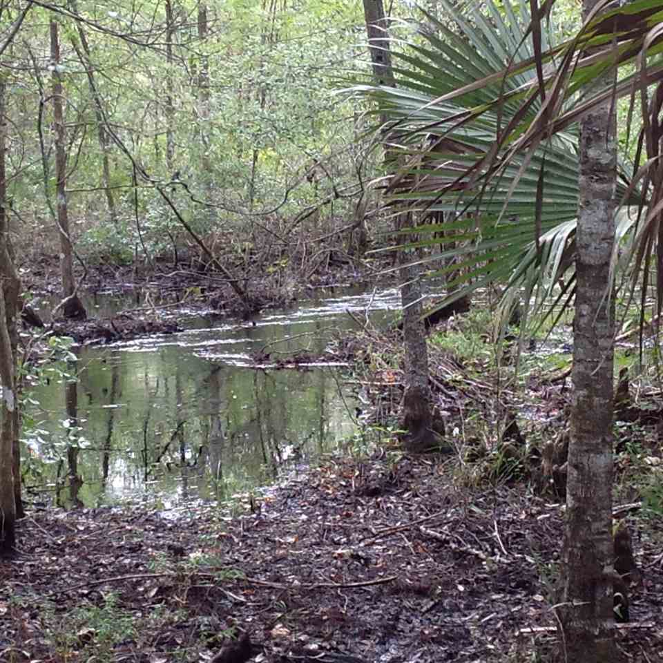 12689 Beach Road Perry, FL 32348 - Photo 10 of 33 Gallery Image 10