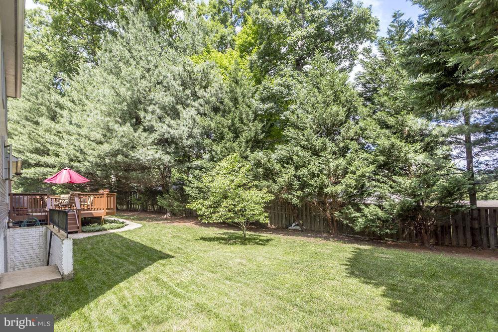 8534 Hooes Road Springfield, VA 22153 - Photo 29 of 29 Private Yard