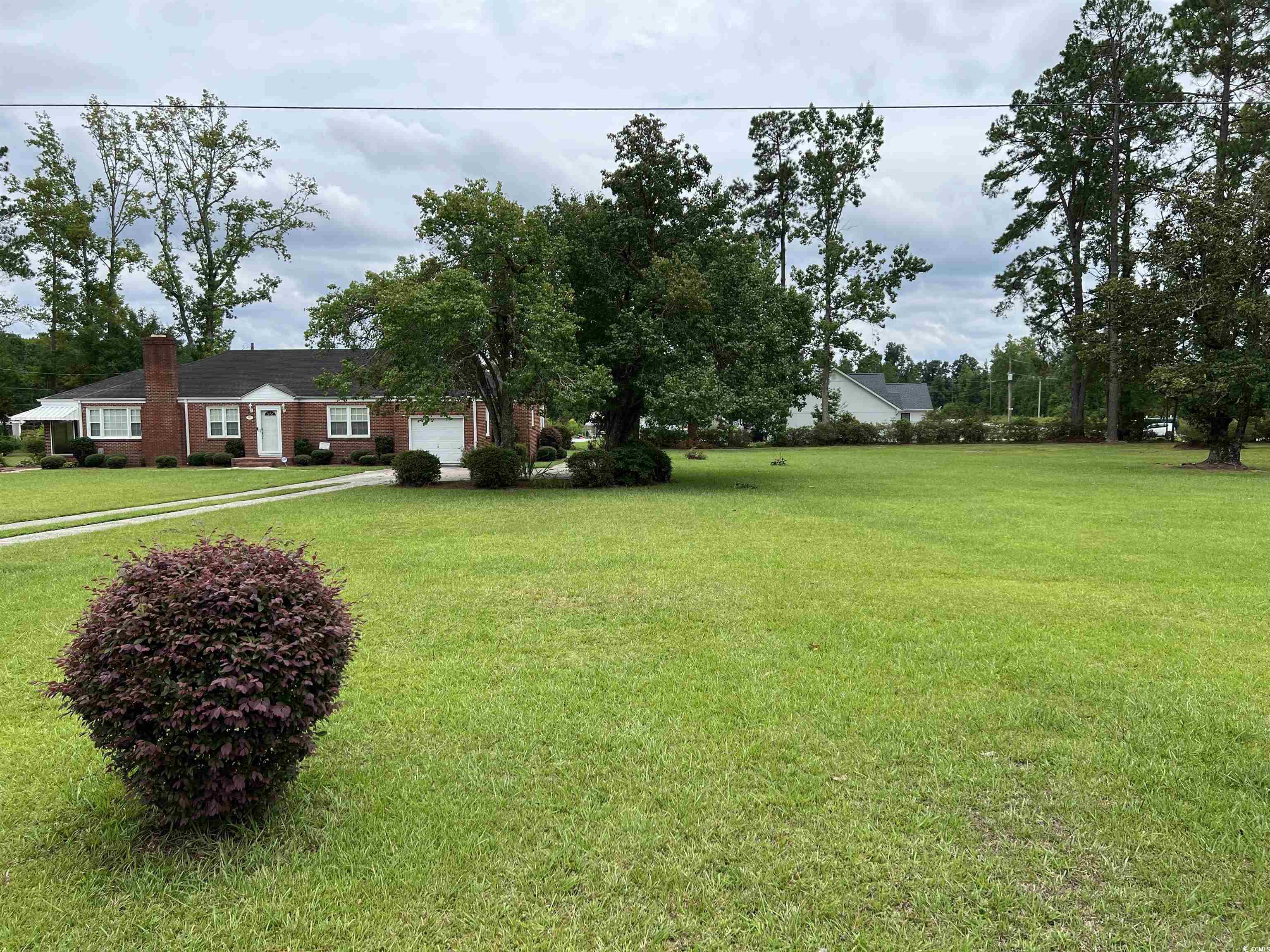 880 Horry Road Conway, SC 29526 - Photo 2 of 16 View of yard
