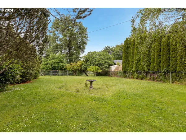 a view of a yard with a tree